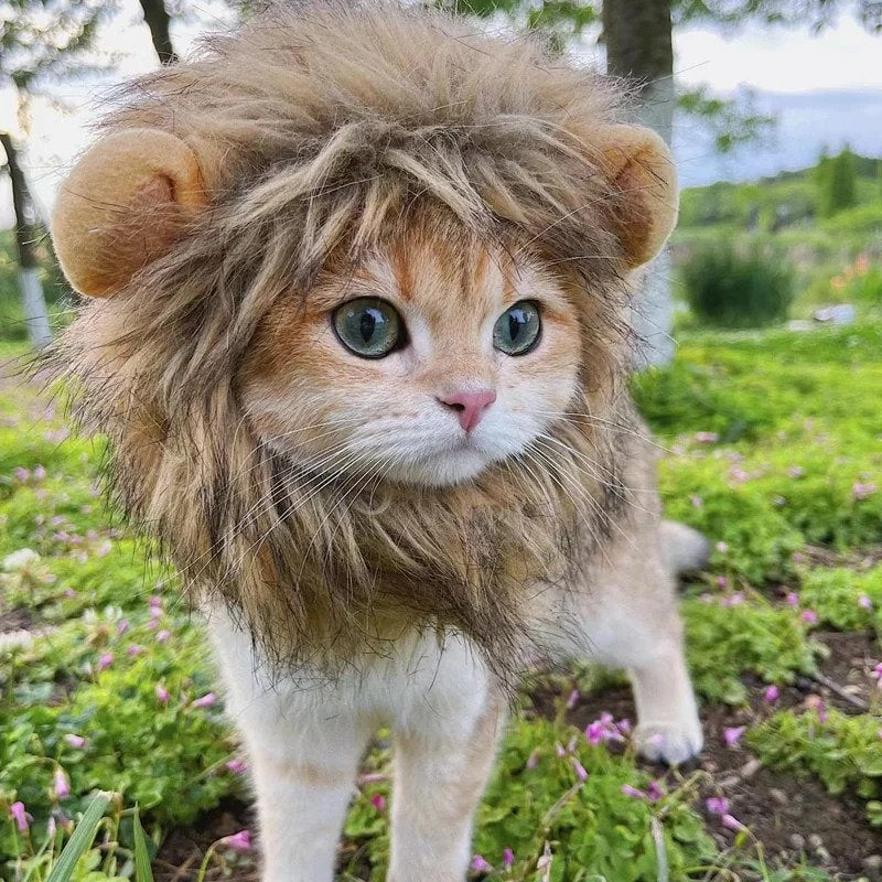 Mane of Majesty