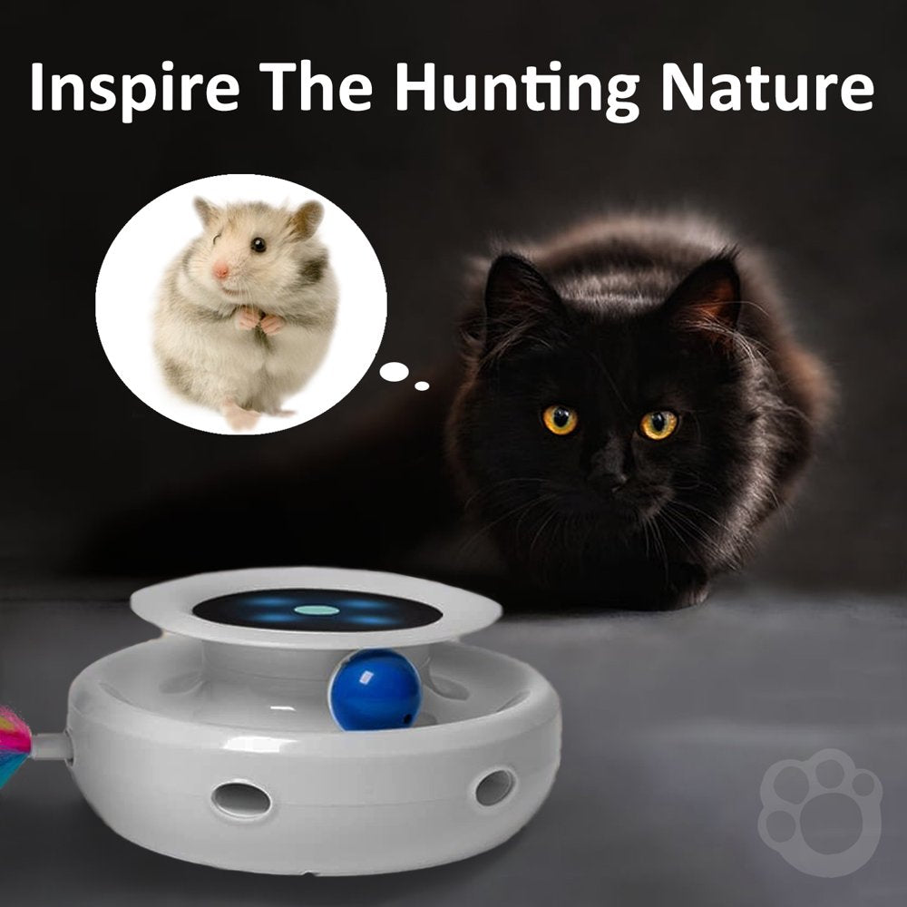 Whisker Whirl: The Ultimate Automated 2-in-1 Cat Toy