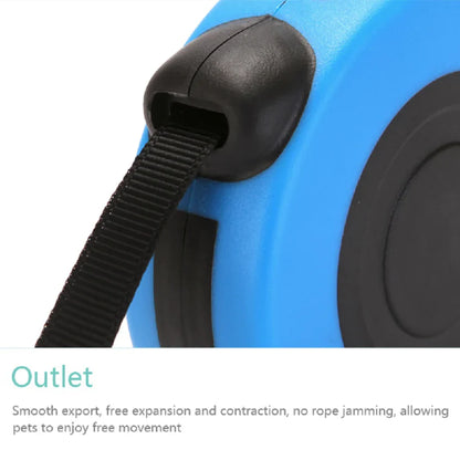 Automatic Retractable Leash