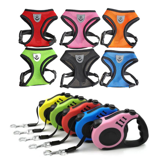 Whisker Wander With Retractable Leash