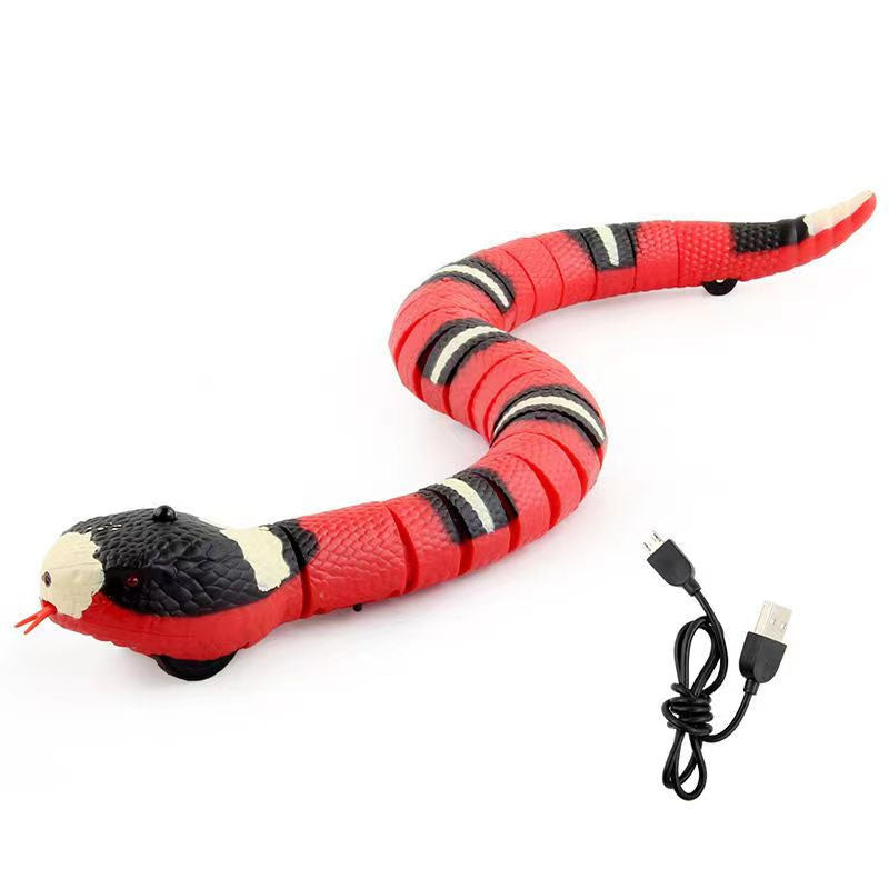 Interactive Snake Cat Toy