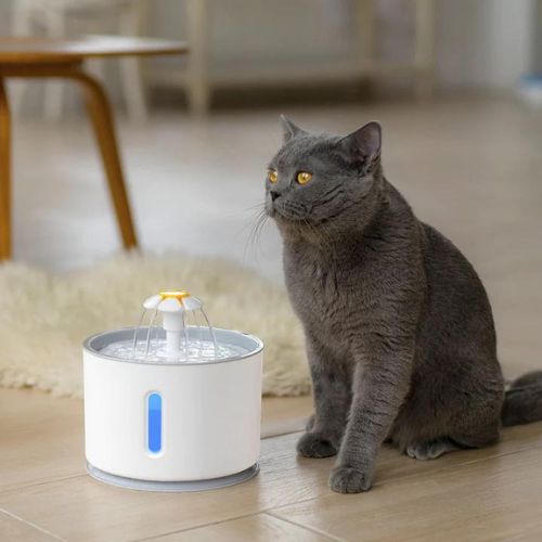 Automatic Water Fountain